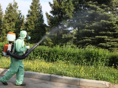 Уничтожение комаров в Красноармейске